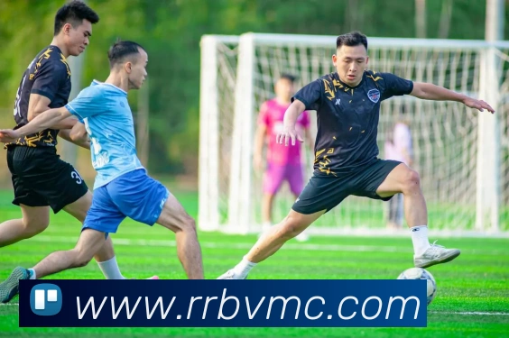 安博站官网登录入口平台生态图